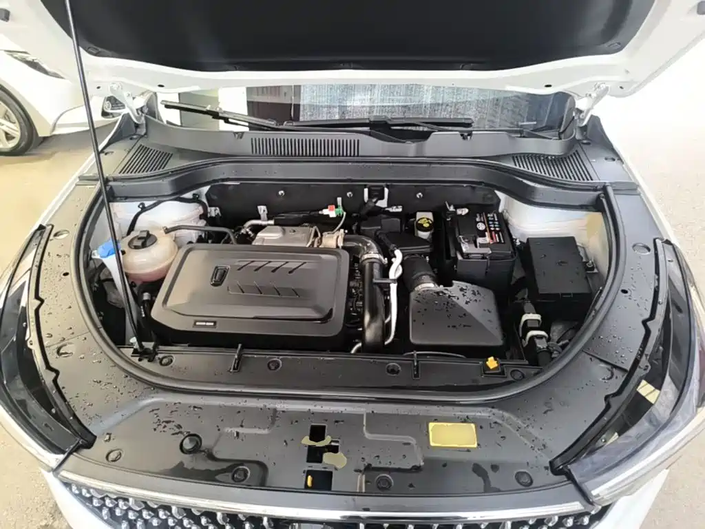 Besturn Bestune T55 2024 2023 1.5T Auto Flying Leap