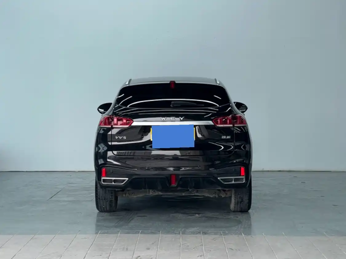 WEI PAI WEI BRAND VV5