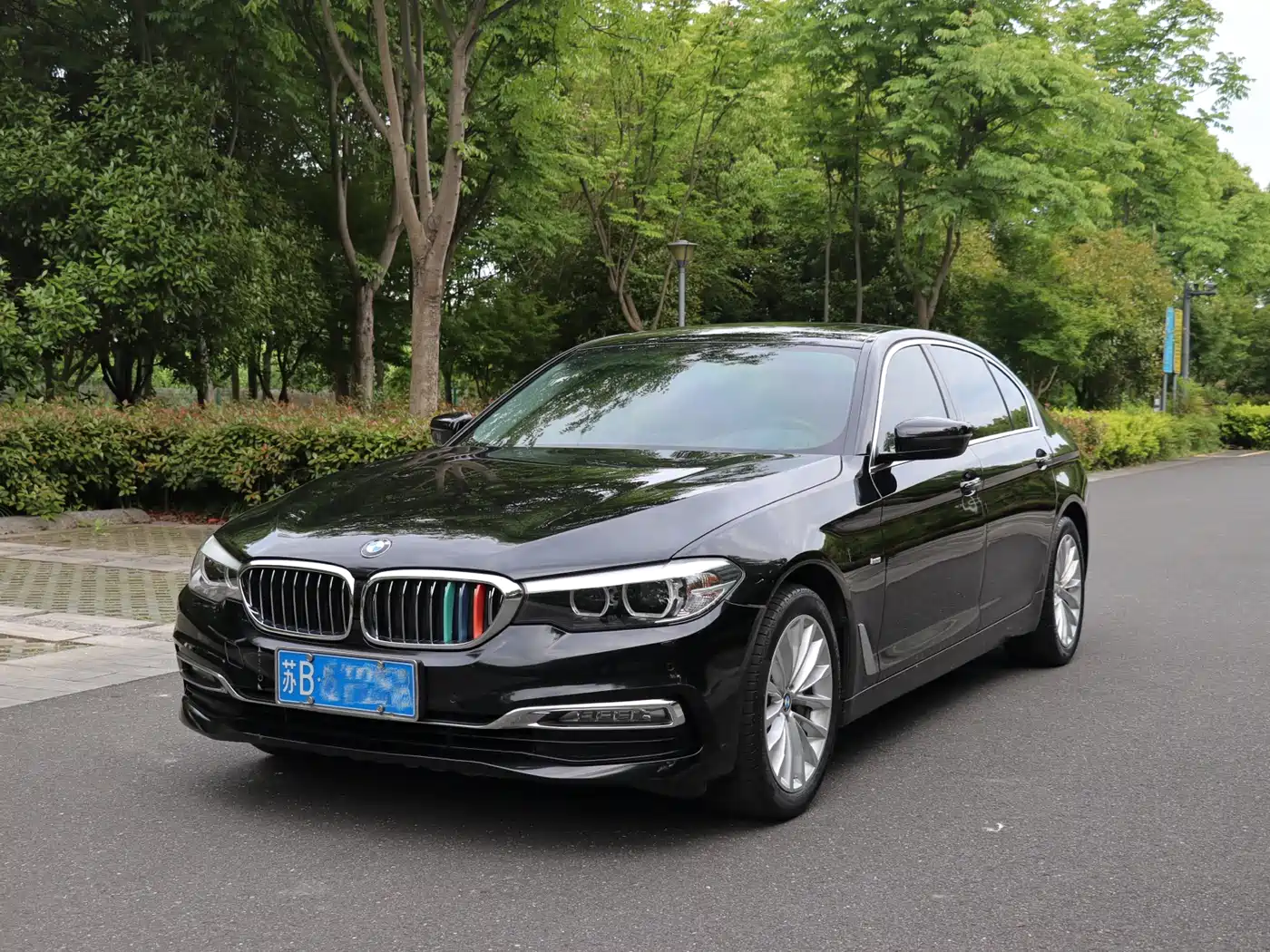 BMW 5 Series 2018 530Li Leading Luxury Package фото 2