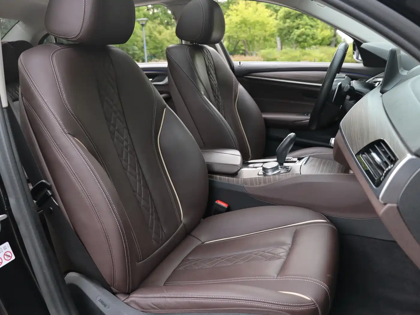 BMW 5 Series 2018 530Li Leading Luxury Package фото 20