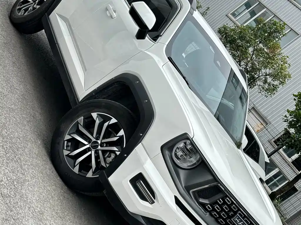 Haval Da Gou 2nd Gen 2024 2023 2.0T 2WD Trendy Off-road Edition