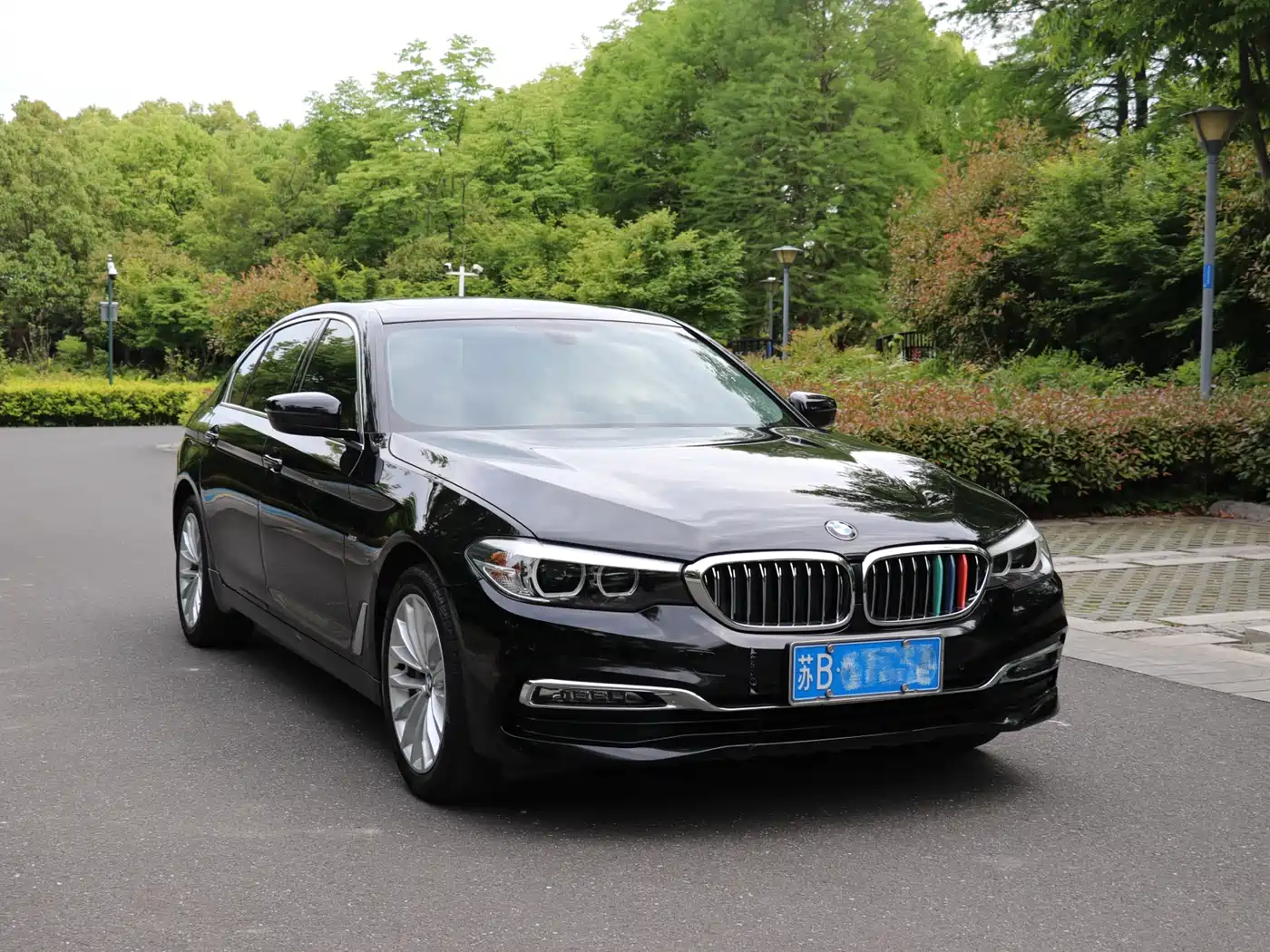 BMW 5 Series 2018 530Li Leading Luxury Package фото 5