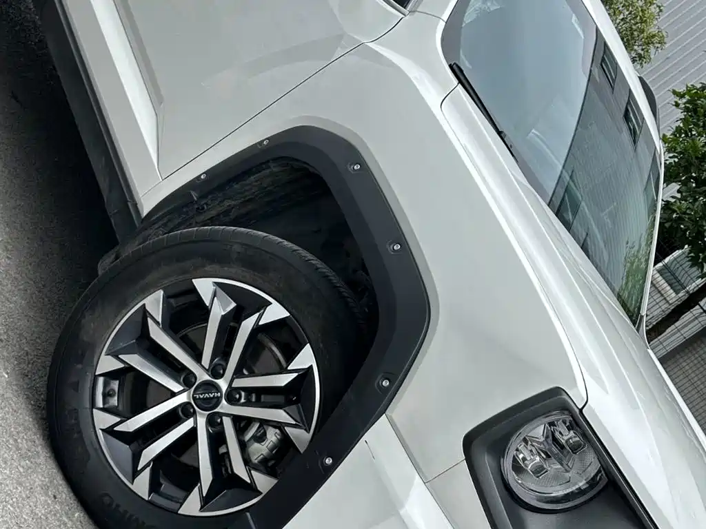 Haval Da Gou 2nd Gen 2024 2023 2.0T 2WD Trendy Off-road Edition