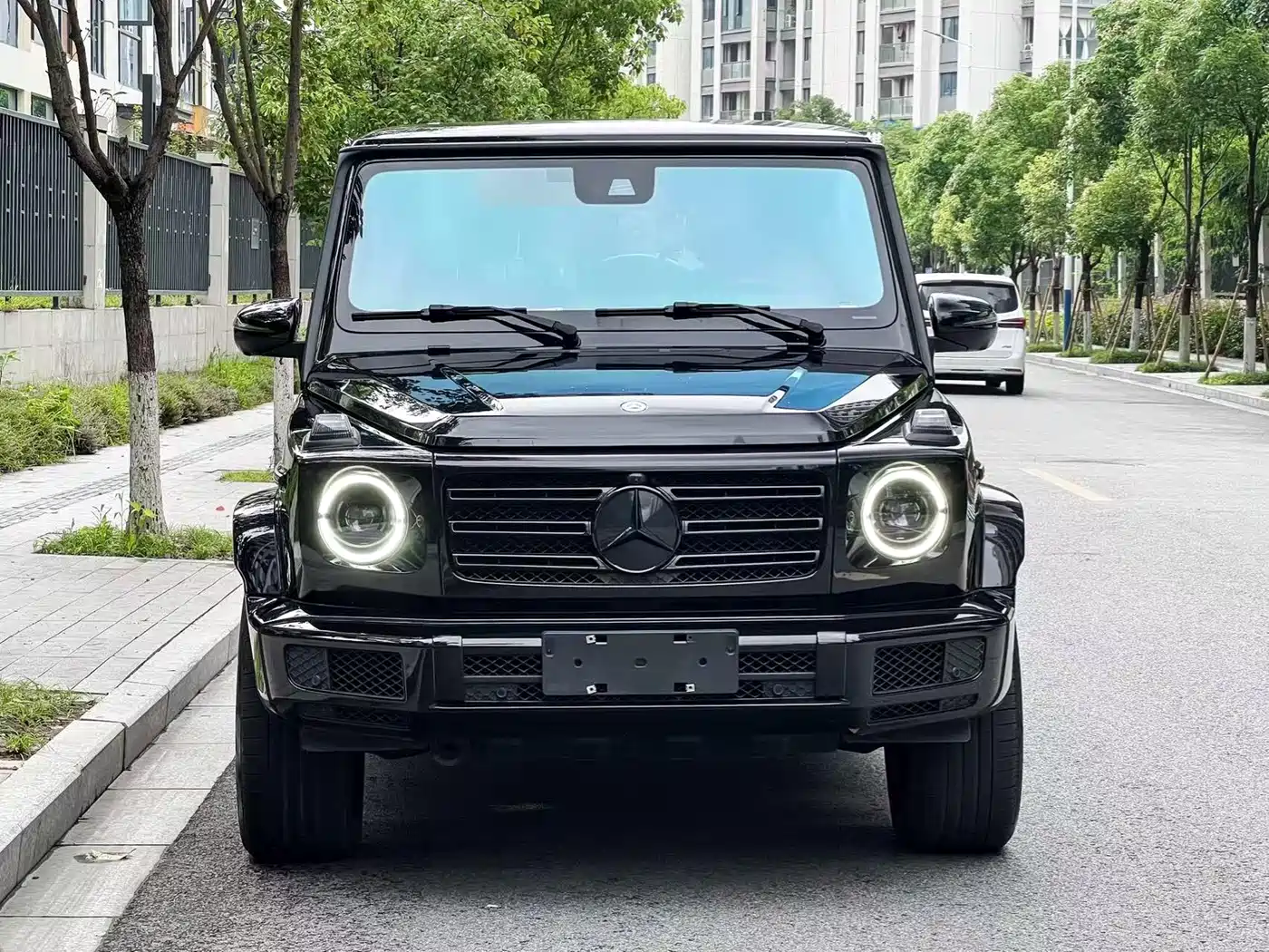 Mercedes-Benz G-Class 2020 G 500 фото 2