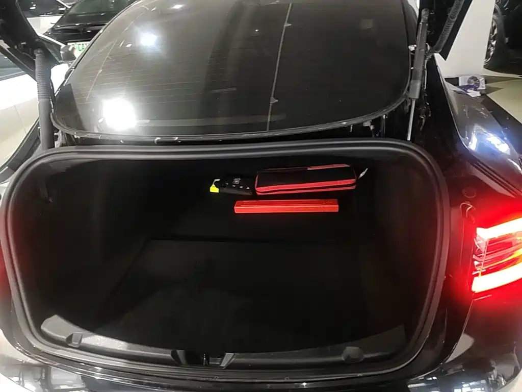 Фото 19 - Tesla Model 3