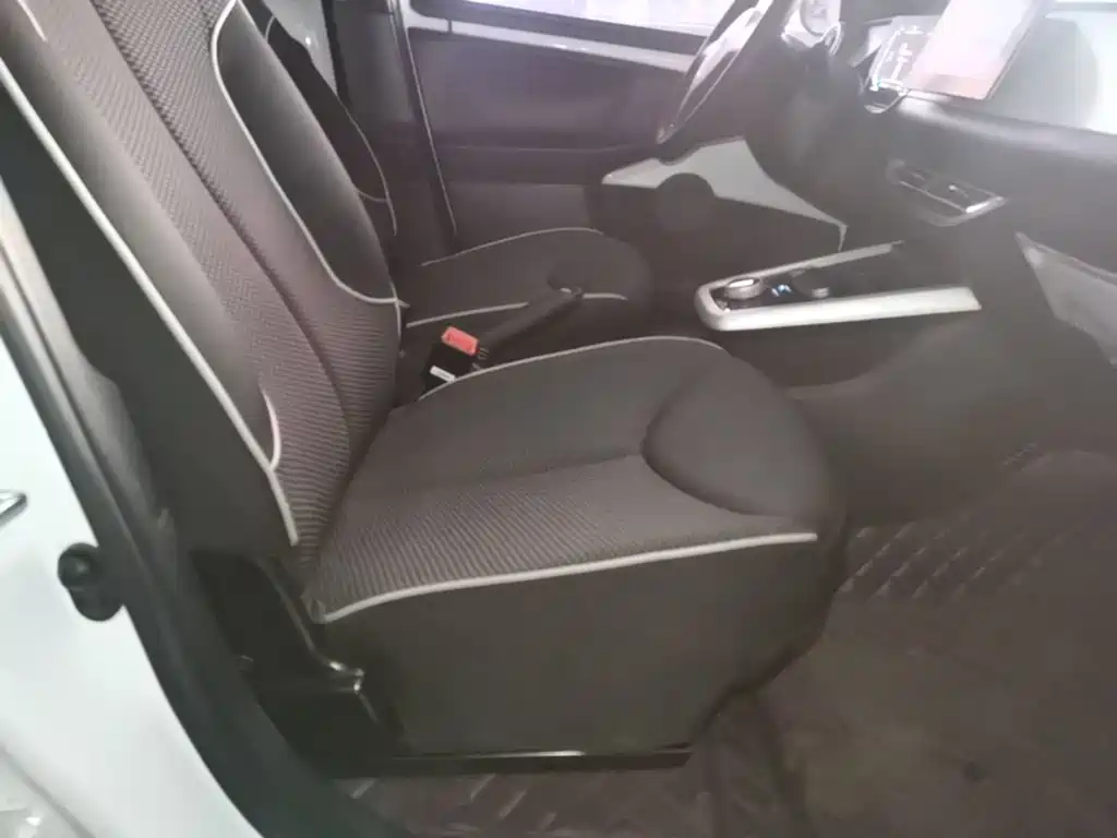 Фото 25 - BYD e1