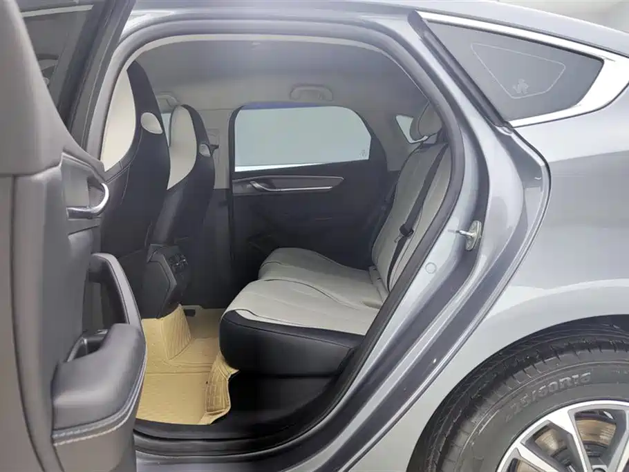 BYD Destroyer 05 2024 Glory Edition DM-i 55KM Luxury фото 11