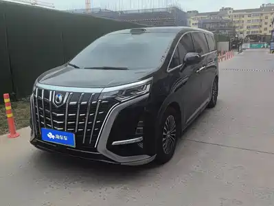 Denza D9
