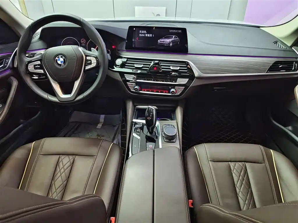 BMW 5 Series 2019 530Li Leading Luxury Package фото 12