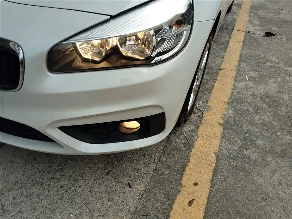 BMW 2 Series Gran Tourer 2015 218i Leading фото 18