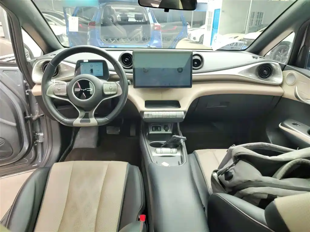 BYD Dolphin 2023 420km Fashion Edition фото 10