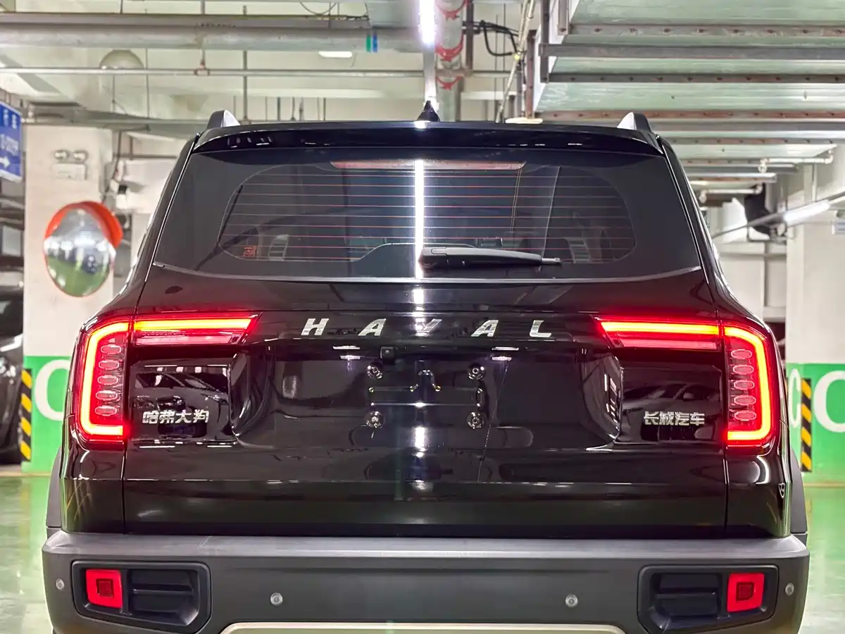 Haval Big Dog 2022 1.5T DCT FWD Border Collie Edition фото 8