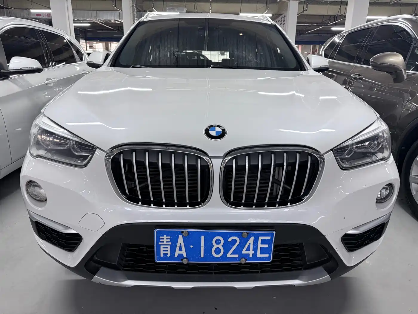BMW X1 2018 xDrive20Li Luxury Model фото 2