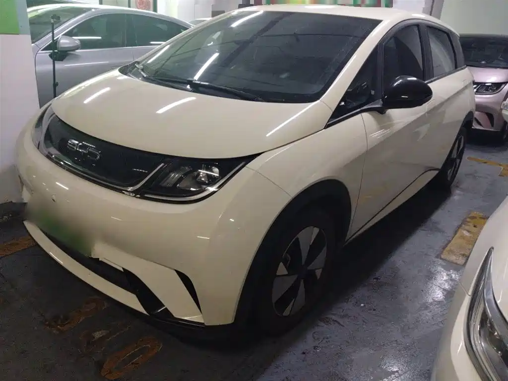 BYD Dolphin 2023 420km Freedom Edition фото 2