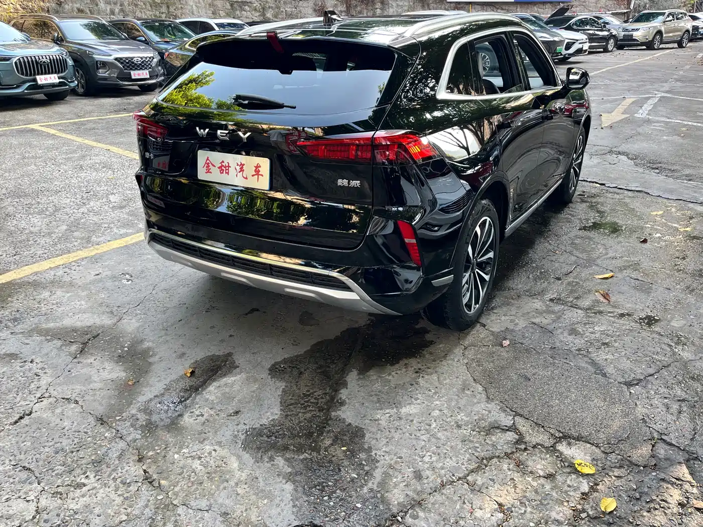 WEY Mocha 2022 2021 2.0T 2WD Extra Rich Edition