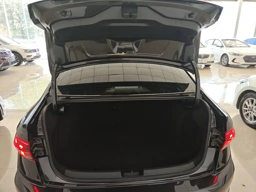 Volkswagen Sagitar, миниатюра 19