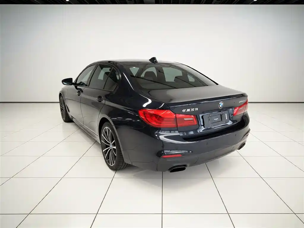 BMW 5 Series 2019 Facelift 530Li Leading M Sport Package фото 23