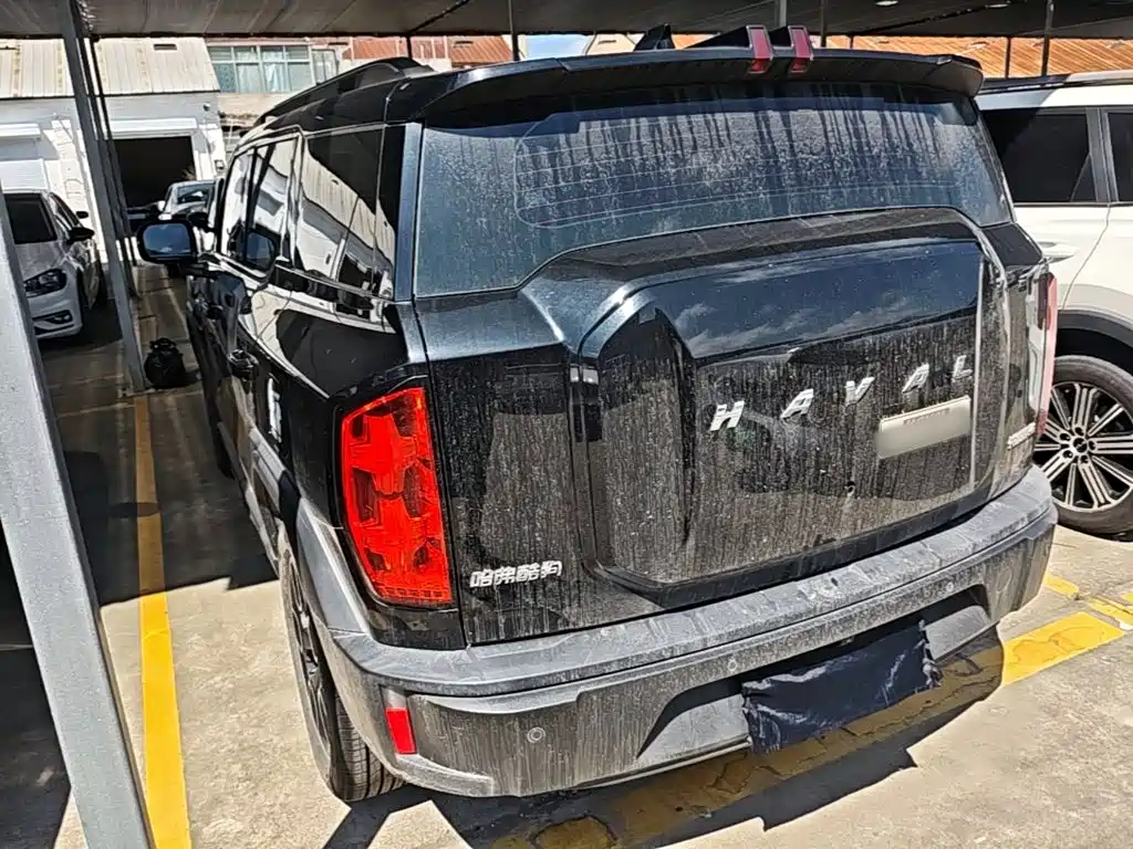 Haval Cool Dog 2023 2022 1.5T DCT 2WD Trend Edition