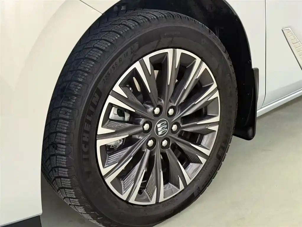 Buick GL8 2025 Land Honor Premium Edition фото 14