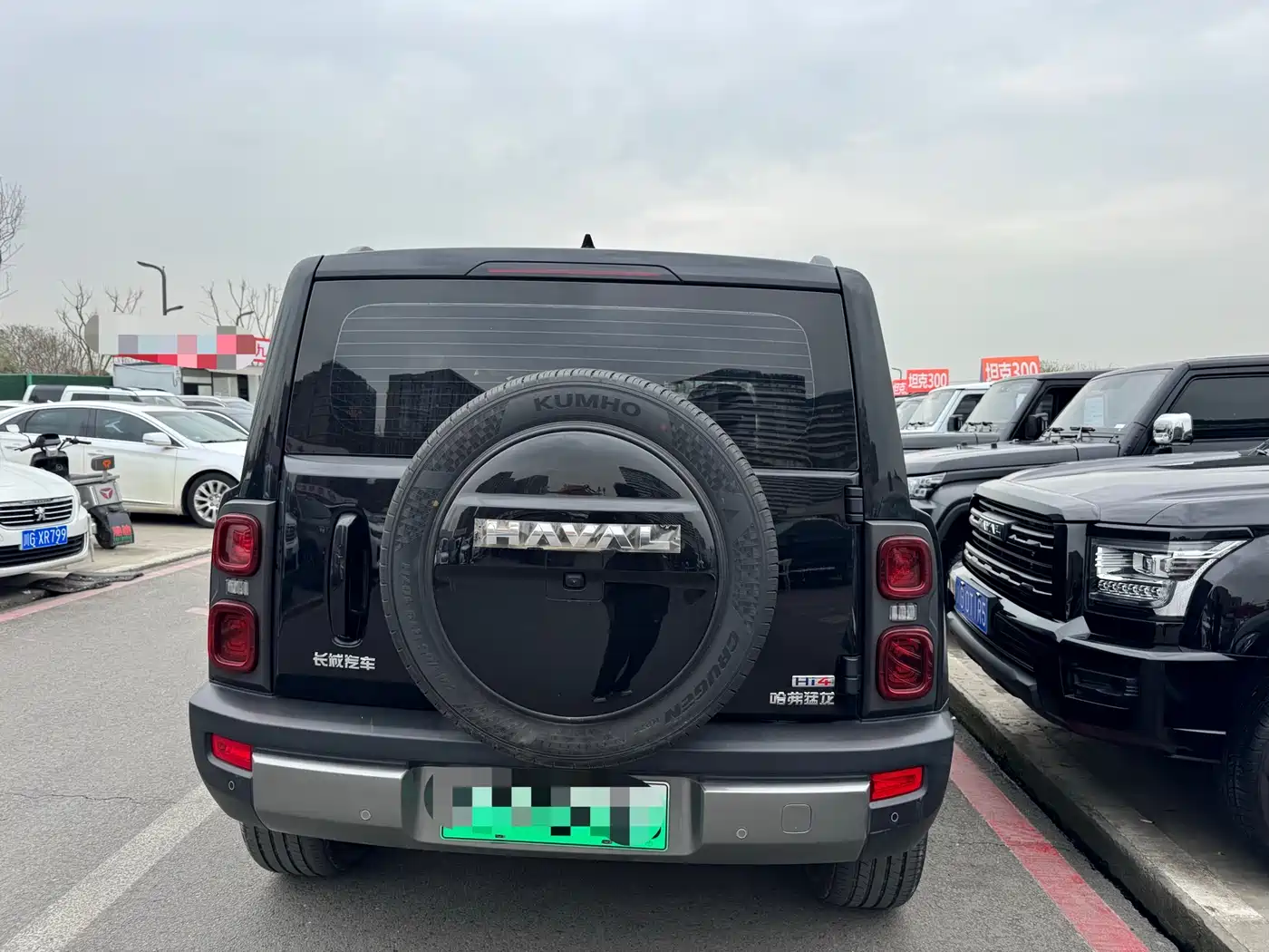 HAVAL RAPTORS NEW ENERGY