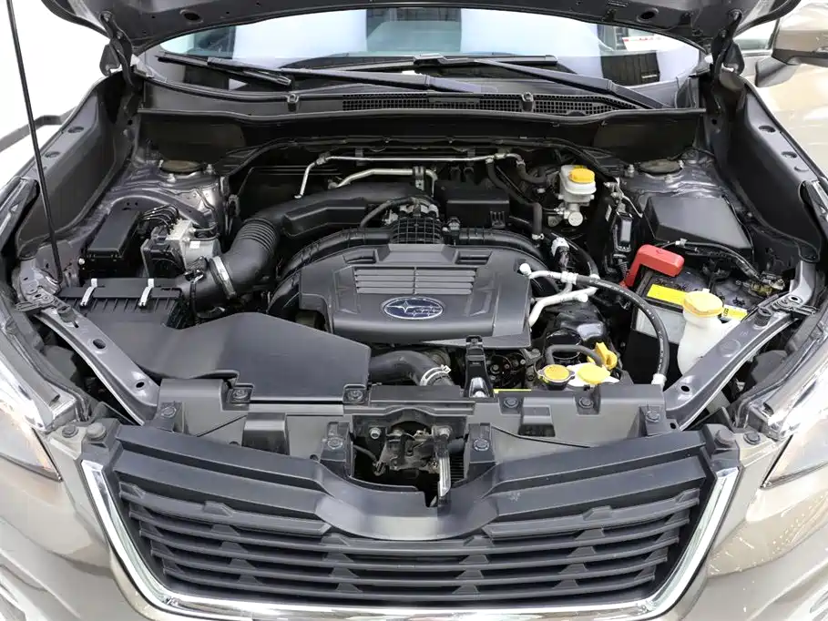 Subaru Forester 2021 2.0i Luxury Edition with EyeSight фото 22