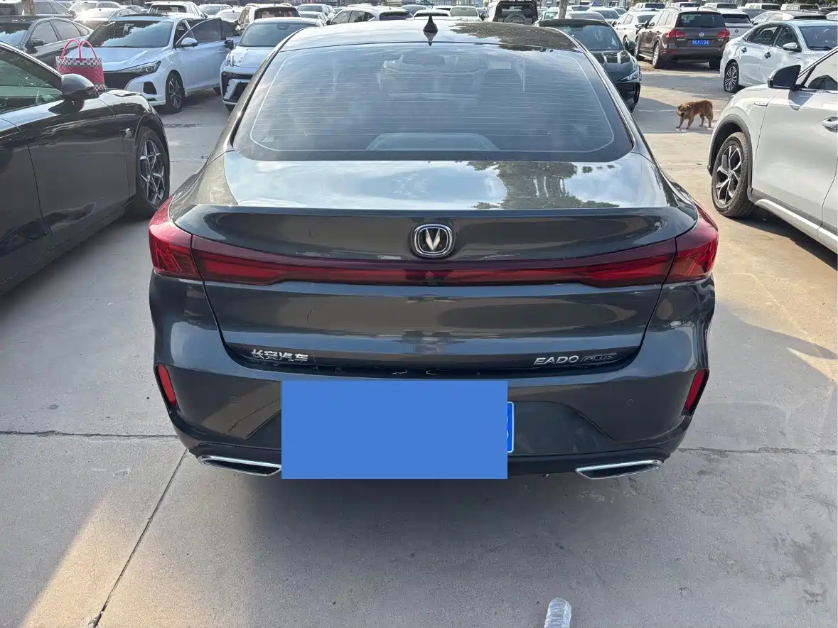 Changan Eado 2025 2024 PLUS Blue Whale NE 1.4T GDI DCT High Performance Edition