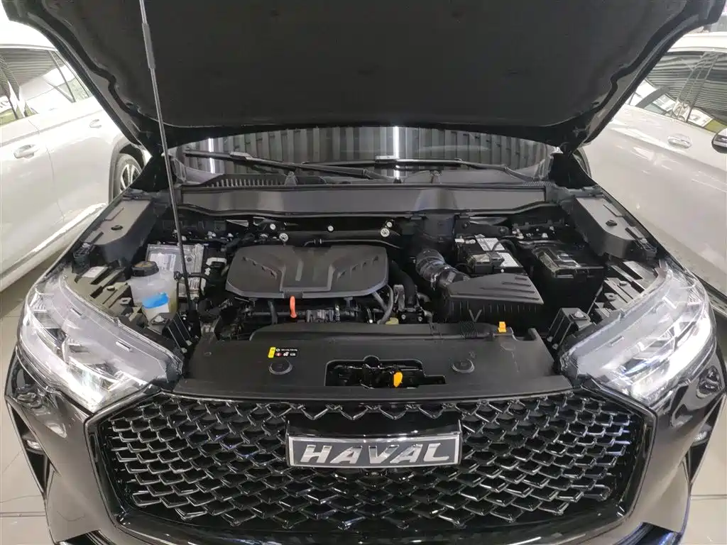 Haval H6 2021 3rd Generation 2.0T Auto AWD Max фото 10