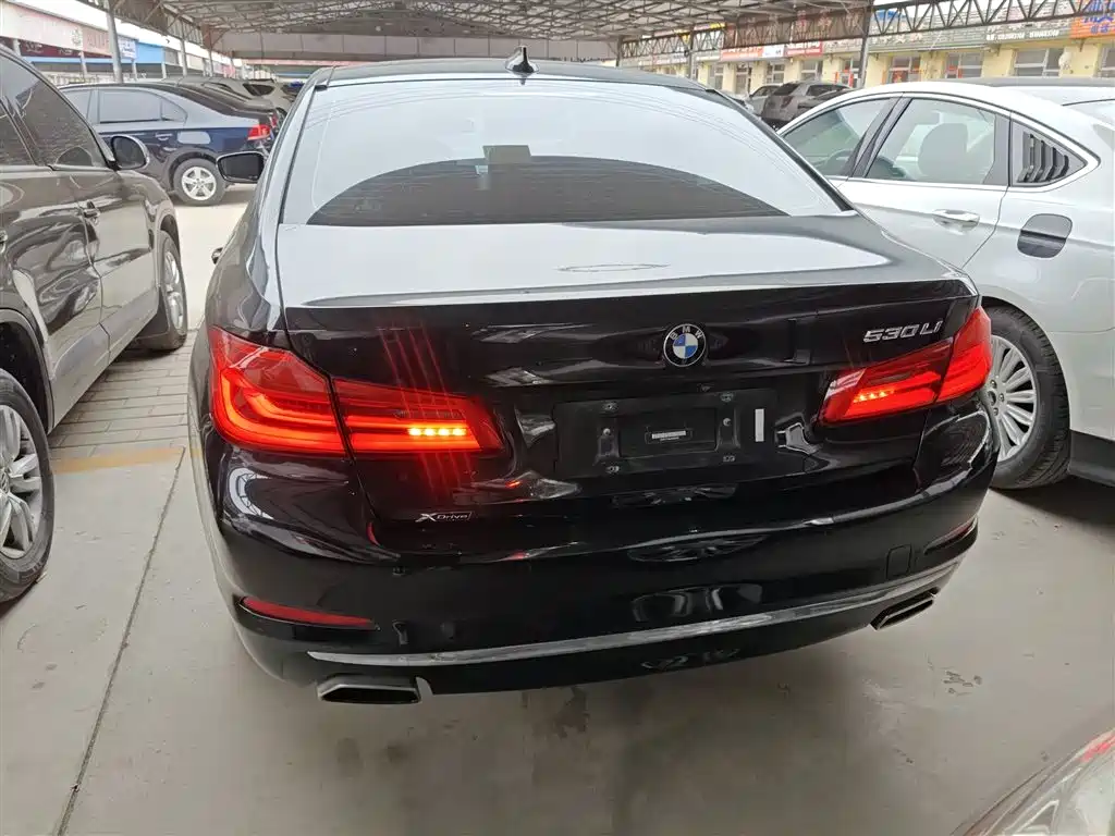 BMW 5 Series 2018 530Li xDrive Luxury Package фото 6