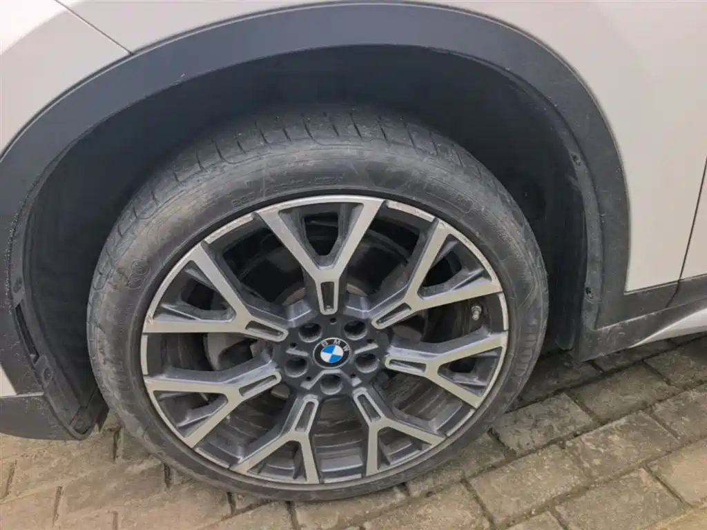 BMW X1 2020 xDrive25Li Premium Edition фото 23