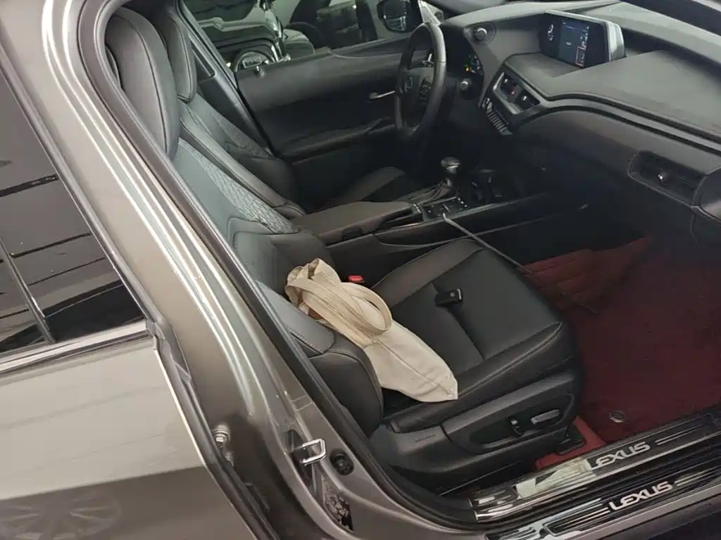 Lexus UX 2020 2020 260h Explore Fun Edition