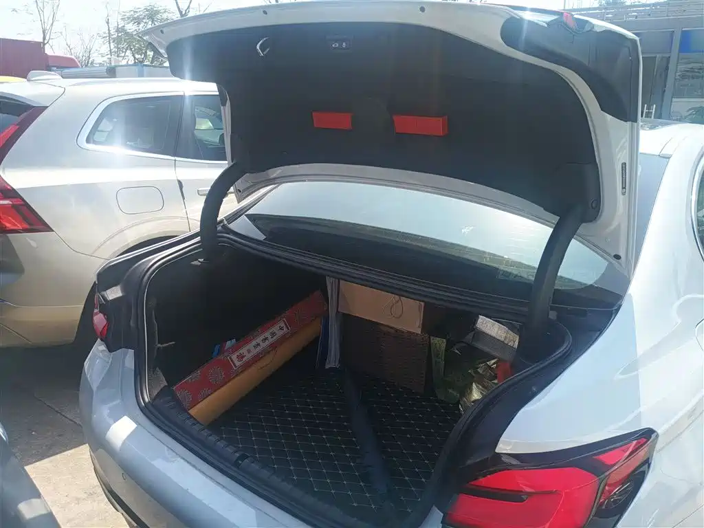 BMW 5 Series 2022 Model Second Facelift 530Li Leading M Sport Package фото 15
