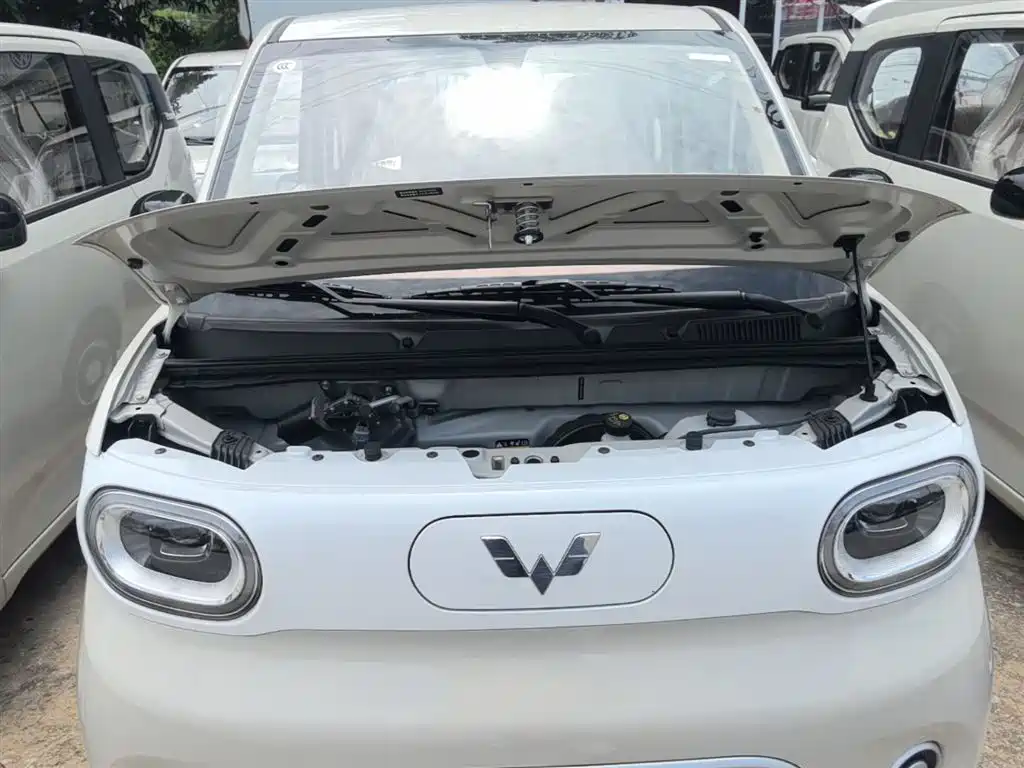 Wuling Motors Hongguang MINIEV 2026 2024 3rd Generation 215km Youth Edition