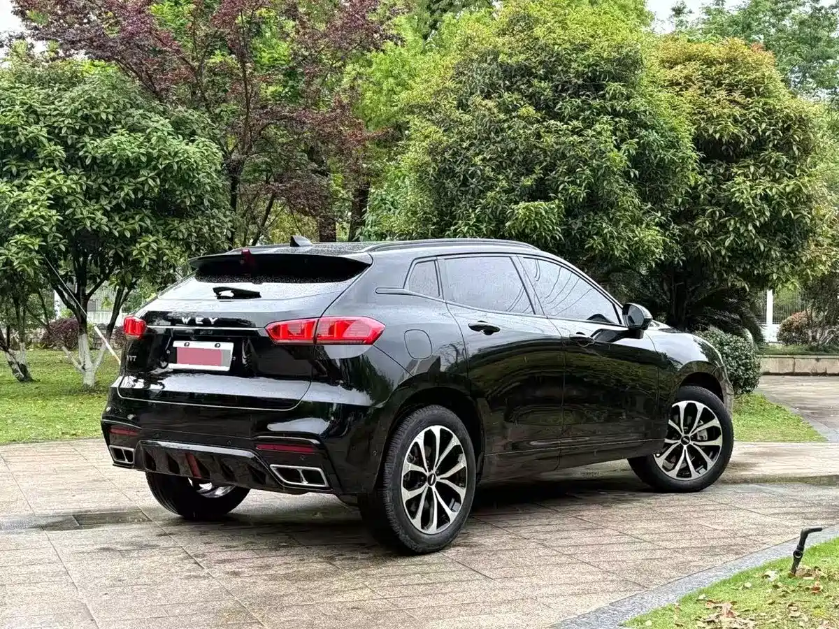 Wey VV7 2021 Model 2.0T Technology Edition фото 9