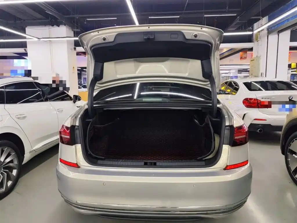 Volkswagen Passat 2019 330TSI Luxury Edition China VI фото 9