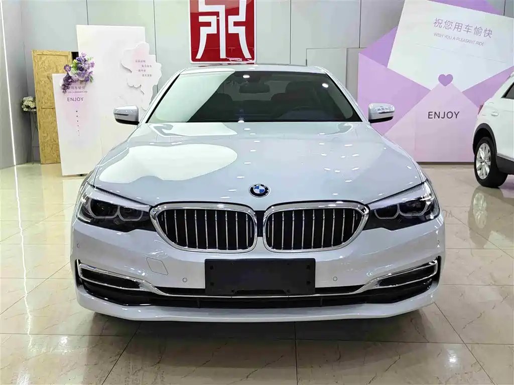 BMW 5 Series 2019 530Li Leading Luxury Package фото 2