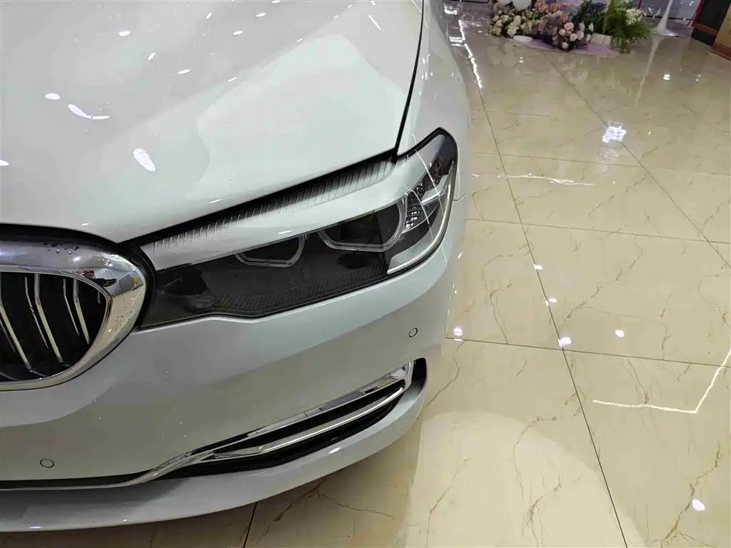 BMW 5 Series 2019 530Li Leading Luxury Package фото 9