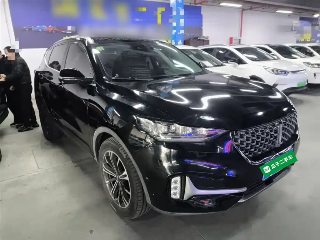 2021 WEY VV6