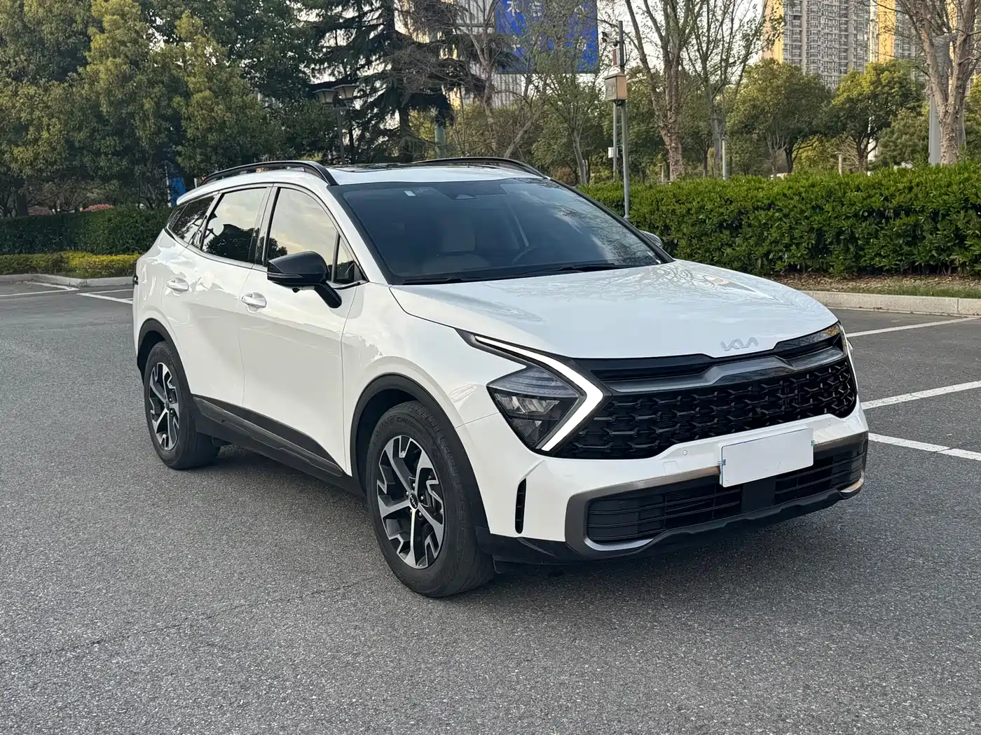 KIA LION PLATINUM EXPANDS THE WORLD