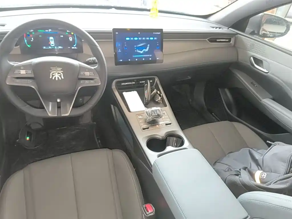 BYD Qin PLUS 2025 DM-i Smart Drive 55KM Leader фото 14