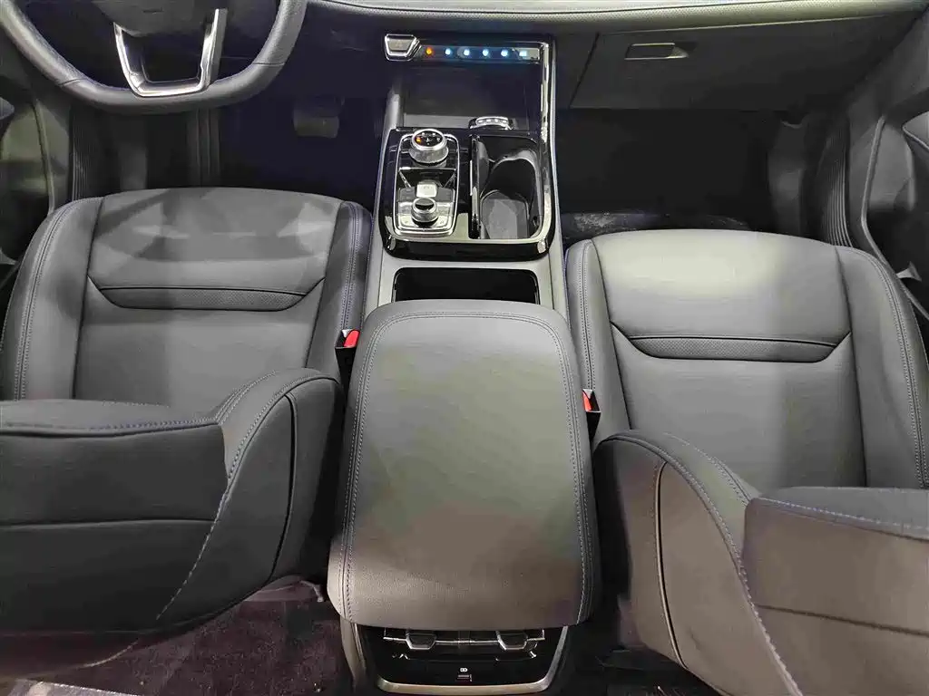 Ford Lingrui 2025 2025 EcoBoost 170 Platinum