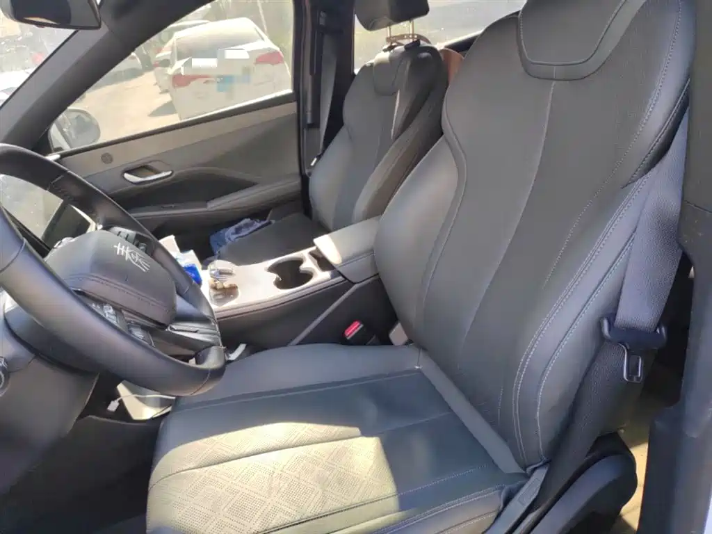 BYD Qin PLUS 2025 DM-i Smart Drive 55KM Leader фото 8