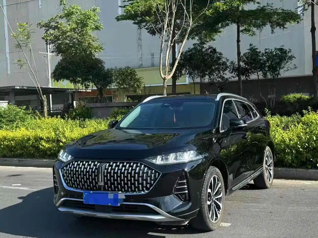 WEI PAI WEI BRAND MOCHA