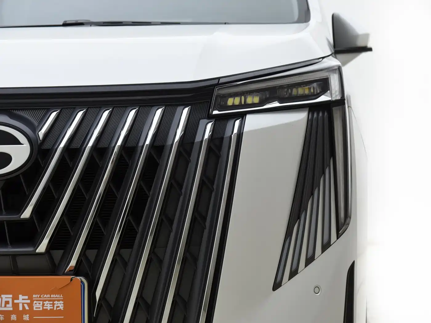 GAC Trumpchi Trumpchi M8 2024 Master Series 400T Premium Edition фото 6