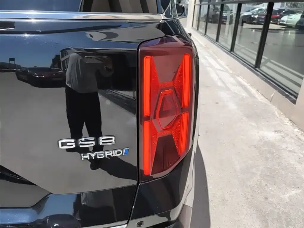 GAC Trumpchi Trumpchi GS8 2024 Dual Engine Series 2.0TM 2WD Premium Edition фото 8