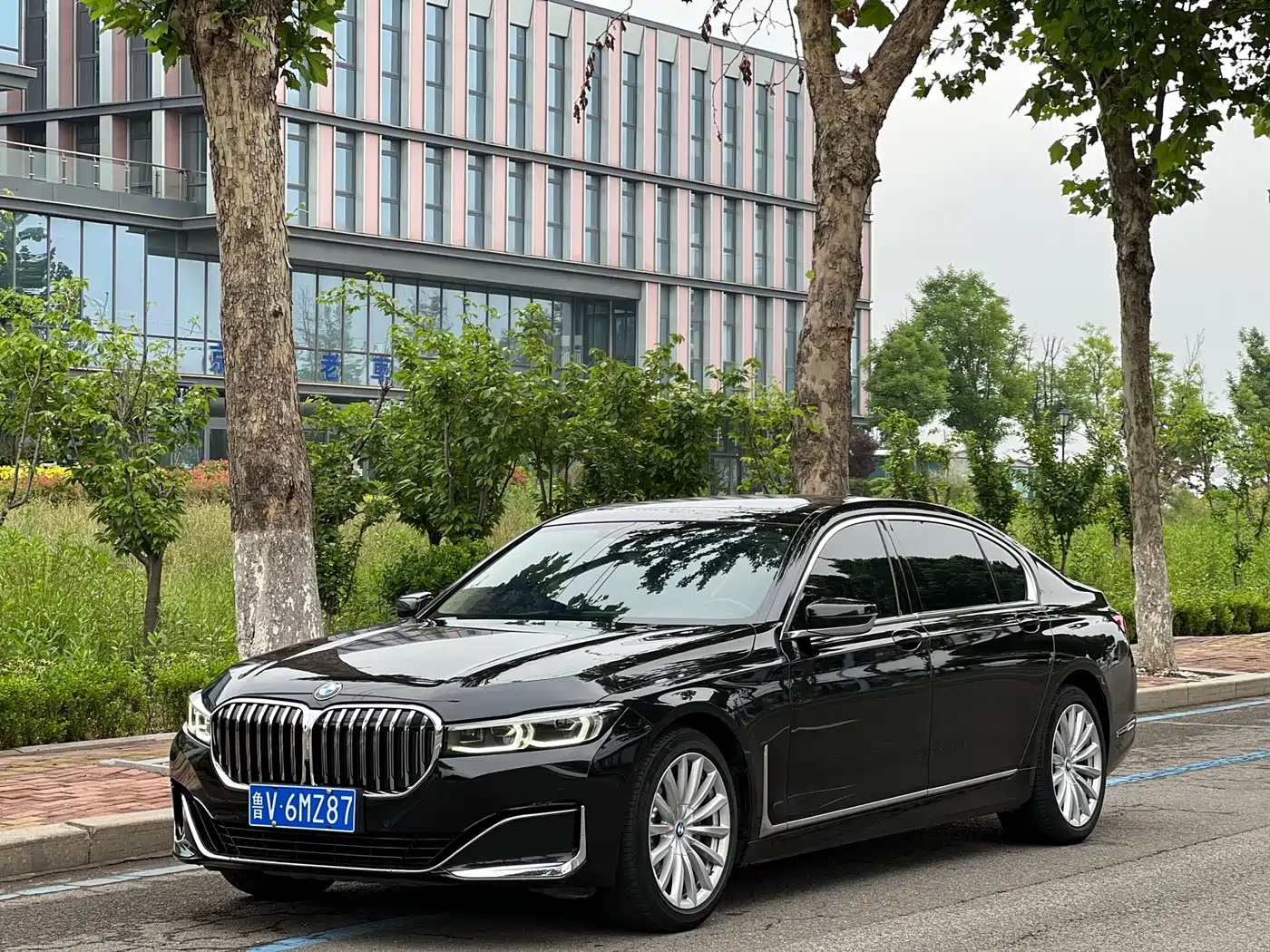BMW 7 Series 2019 730Li Luxury Package