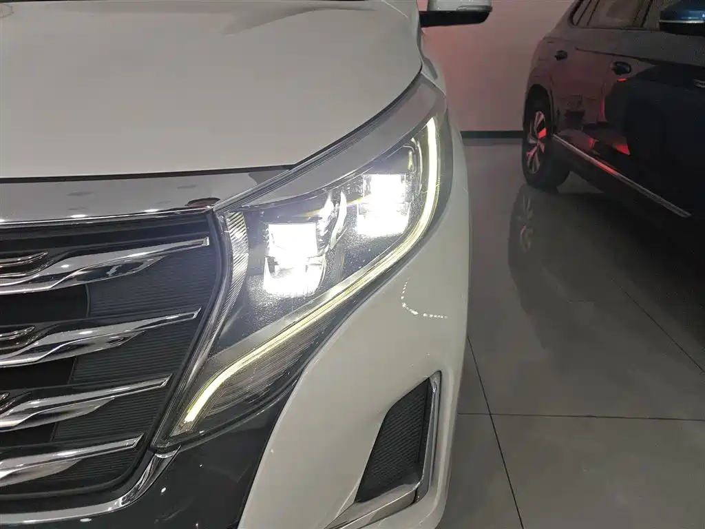 GAC Trumpchi Trumpchi M8 2020 Pilot 390T Premium Edition фото 24