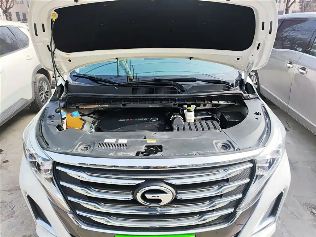 GAC Trumpchi Trumpchi M8 2020 Pilot 390T Premium Edition фото 19