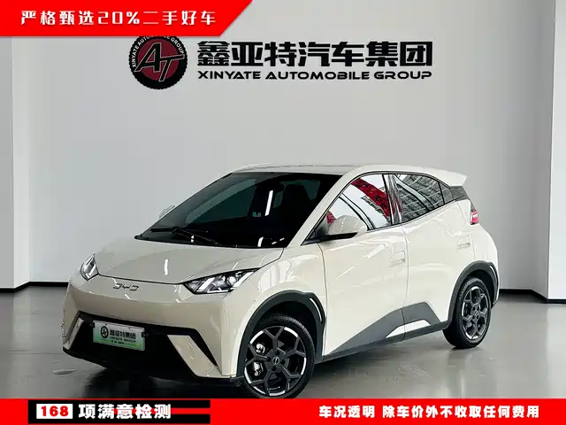 BYD Seagull Слава, 305km, Свобода