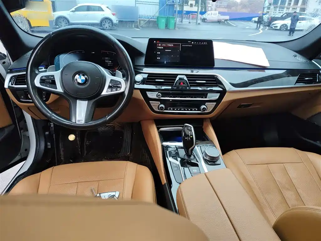 BMW 5 Series 2020 530Li Exclusive M Sport Package фото 10