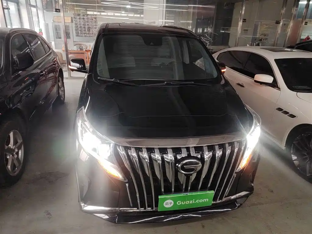 GAC Trumpchi Trumpchi M8 2021 Leading Series 390T Flagship фото 3